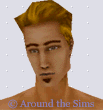 Around the Sims
