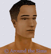 Around the Sims