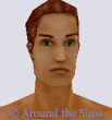 Around the Sims