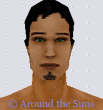 Around the Sims