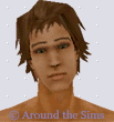 Around the Sims