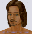 Around the Sims