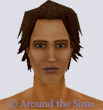 Around the Sims