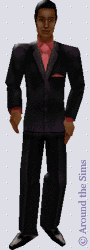 Around the Sims