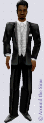 Around the Sims