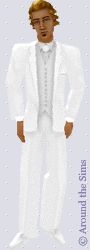 Around the Sims