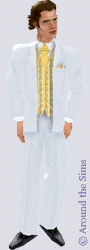 Around the Sims