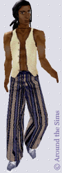 Around the Sims