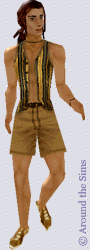 Around the Sims