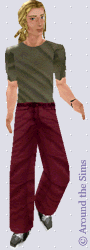 Around the Sims