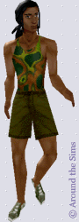 Around the Sims