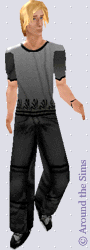 Around the Sims