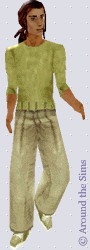 Around the Sims