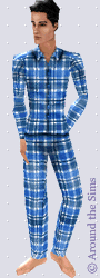 Around the Sims