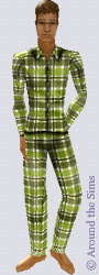 Around the Sims
