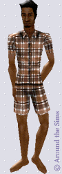 Around the Sims