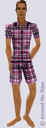 Around the Sims