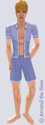 Around the Sims