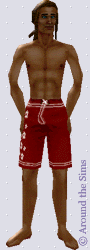 Around the Sims