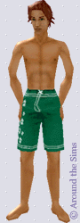 Around the Sims