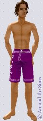 Around the Sims