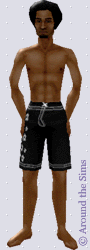 Around the Sims