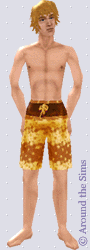 Around the Sims