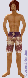 Around the Sims