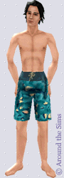 Around the Sims
