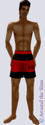 Around the Sims
