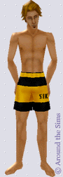 Around the Sims