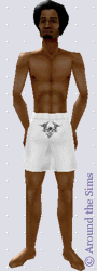 Around the Sims