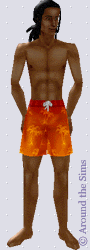Around the Sims