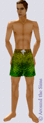 Around the Sims