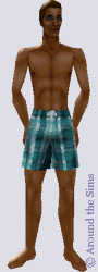 Around the Sims