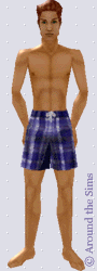 Around the Sims