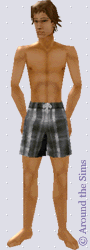 Around the Sims
