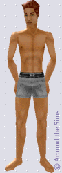 Around the Sims