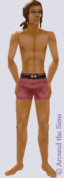 Around the Sims