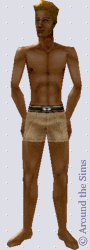 Around the Sims