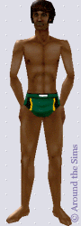 Around the Sims