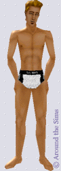 Around the Sims