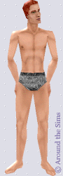 Around the Sims