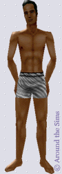 Around the Sims