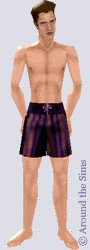 Around the Sims