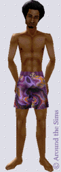 Around the Sims