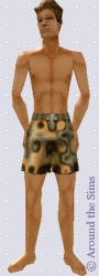 Around the Sims
