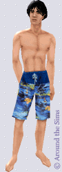 Around the Sims