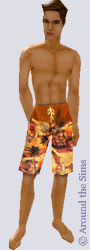 Around the Sims