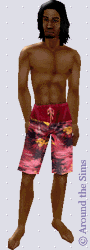 Around the Sims